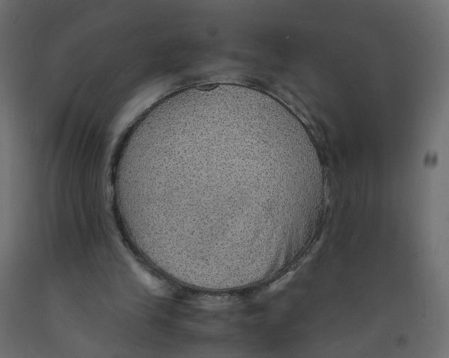 X0000091960245200710041034
