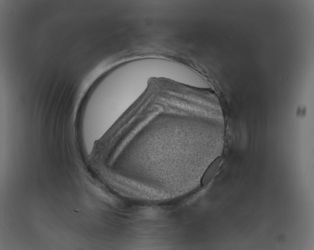 X0000091960246200710041034