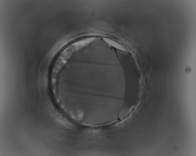 X0000091960247200710041034