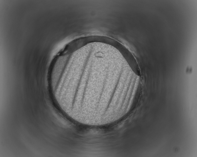 X0000091960248200710041034