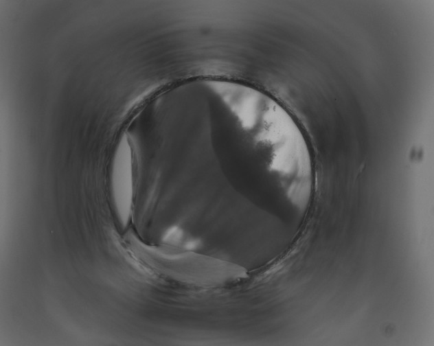 X0000091960249200710041034
