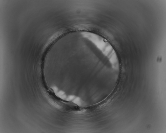 X0000091960250200710041034