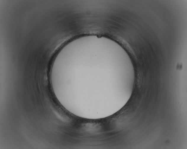 X0000091960251200710041034