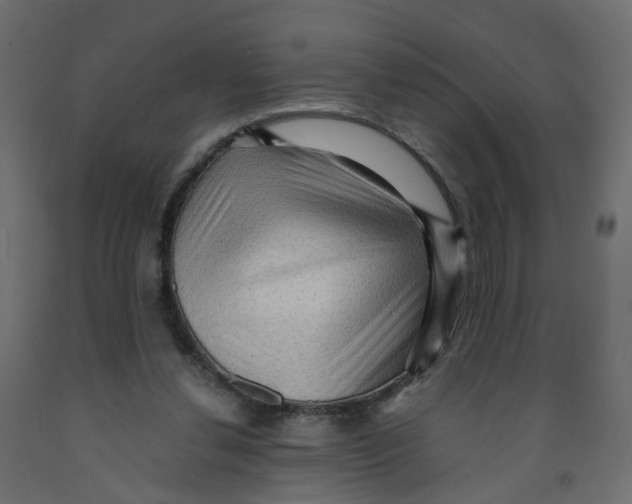 X0000091960252200710041034