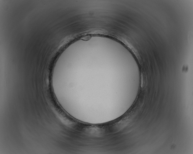 X0000091960253200710041034