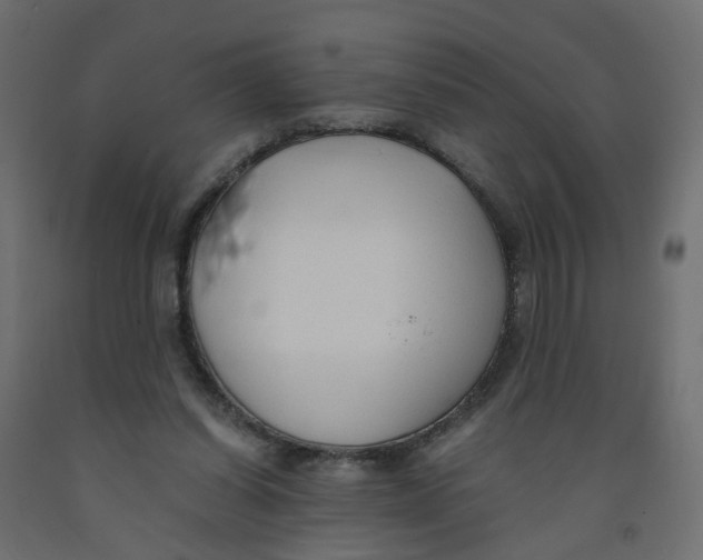 X0000091960254200710041034