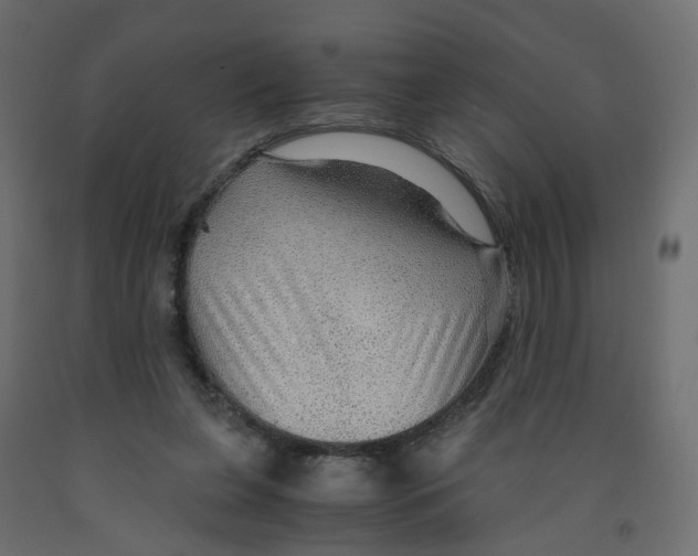 X0000091960255200710041034