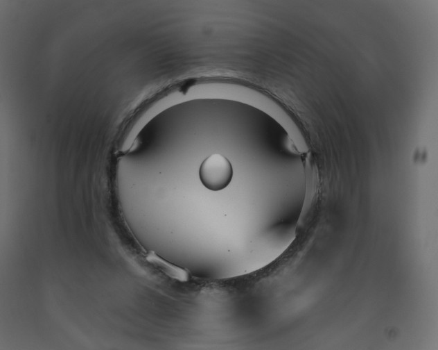 X0000091960256200710041034