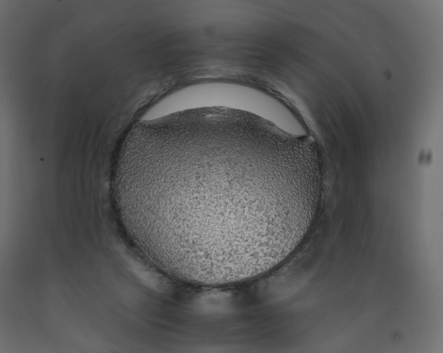 X0000091960257200710041034