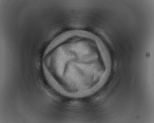 X0000091960259200710041034