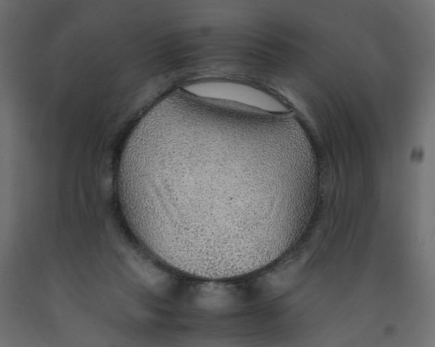 X0000091960261200710041034