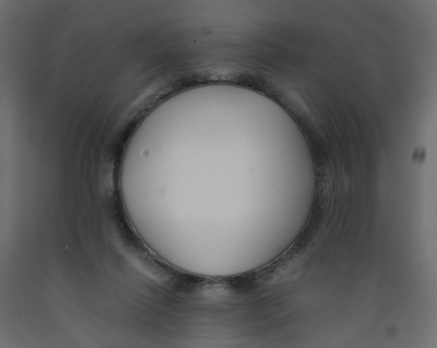 X0000091960262200710041034