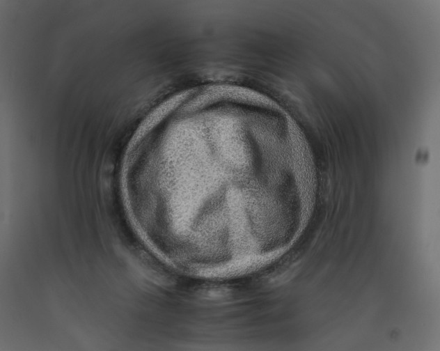 X0000091960263200710041034