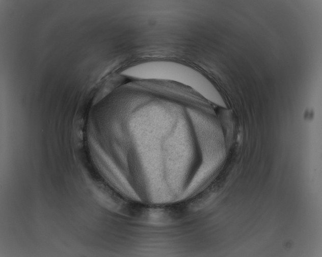 X0000091960264200710041034