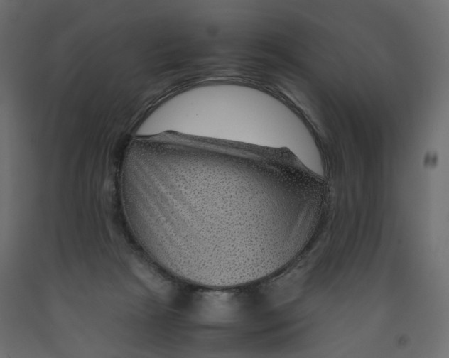 X0000091960265200710041034