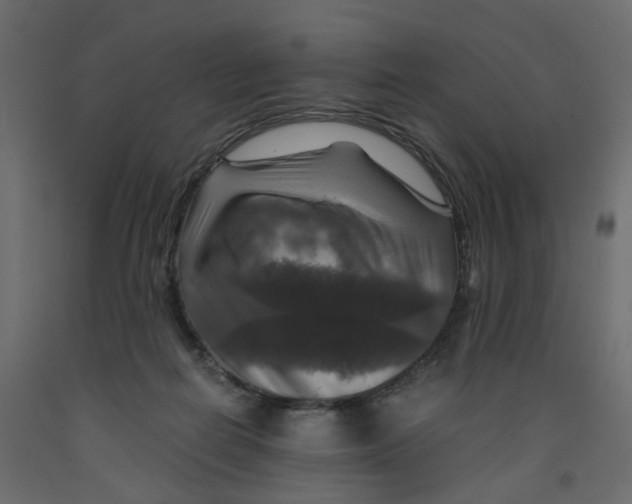 X0000091960266200710041034