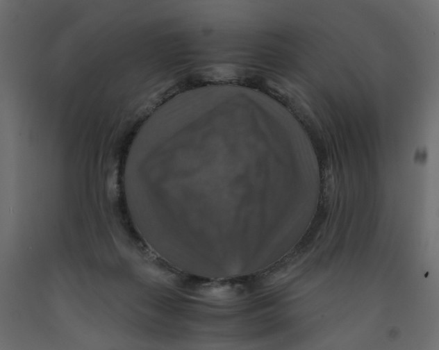 X0000091960267200710041034