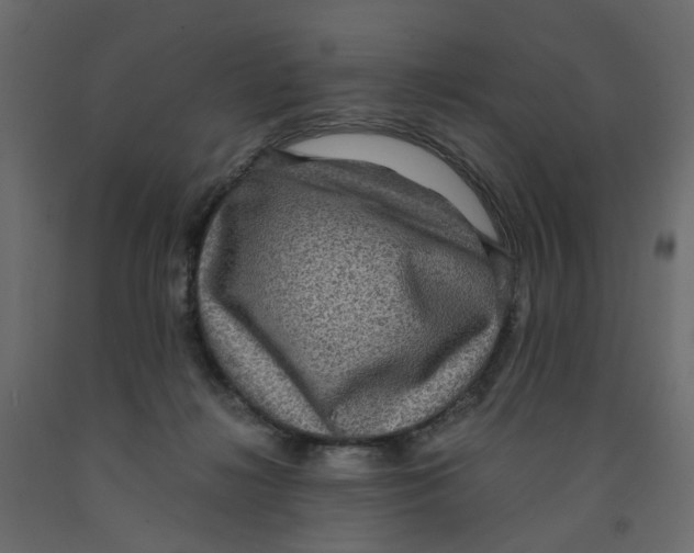 X0000091960268200710041034