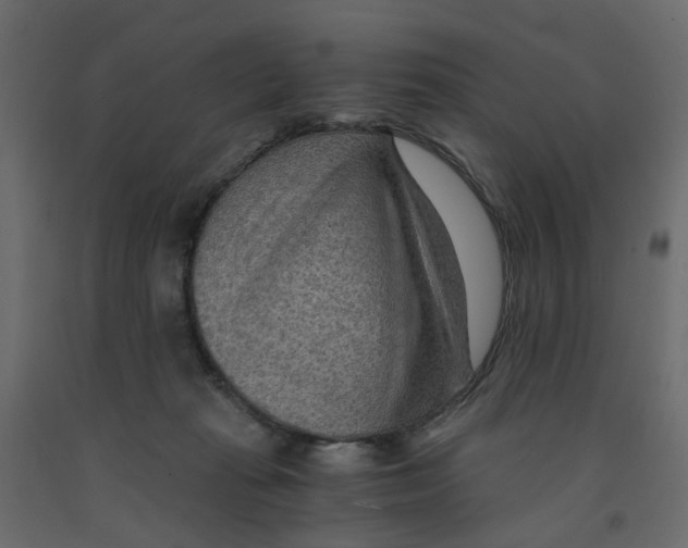 X0000091960269200710041034