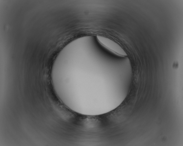X0000091960270200710041034