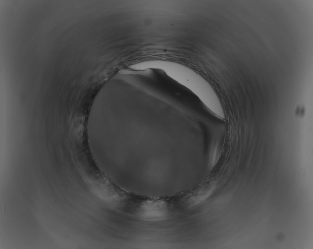 X0000091960271200710041034