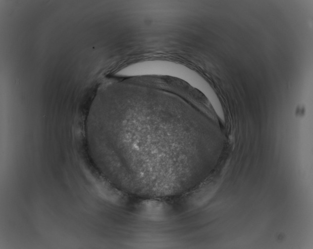 X0000091960272200710041034