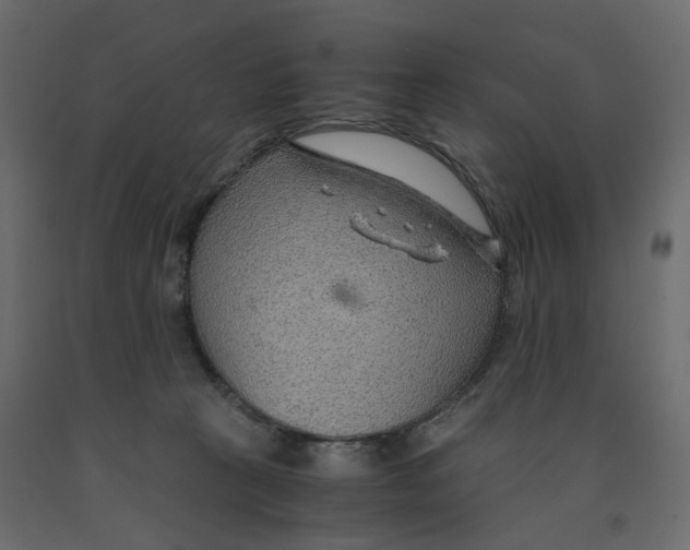 X0000091960273200710041034