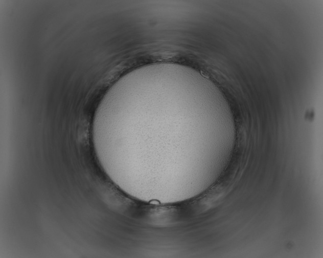 X0000091960274200710041034