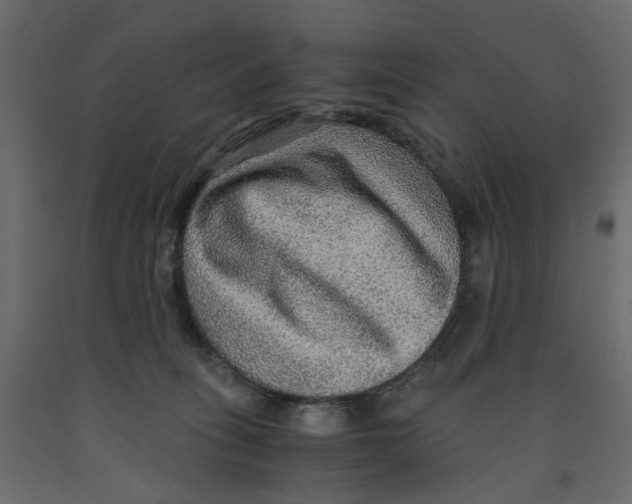 X0000091960275200710041034