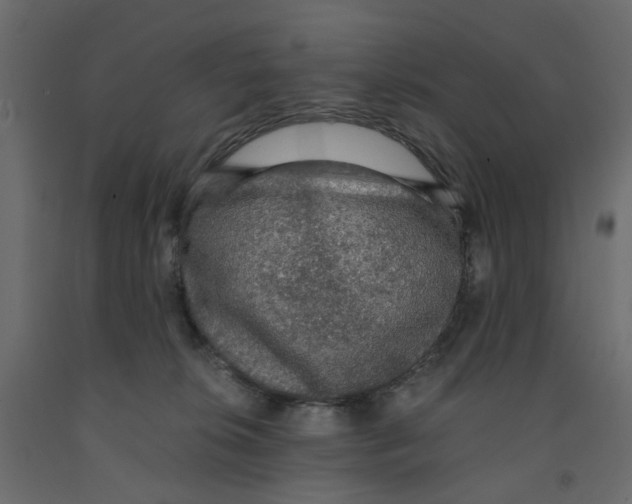 X0000091960276200710041034