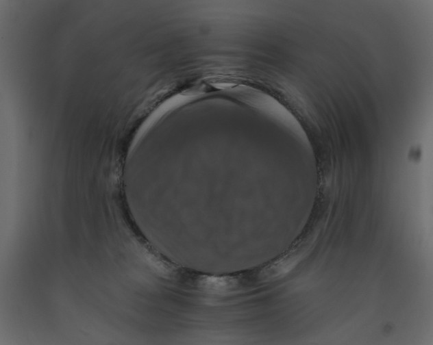 X0000091960277200710041034