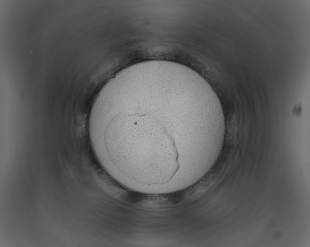 X0000091960278200710041034
