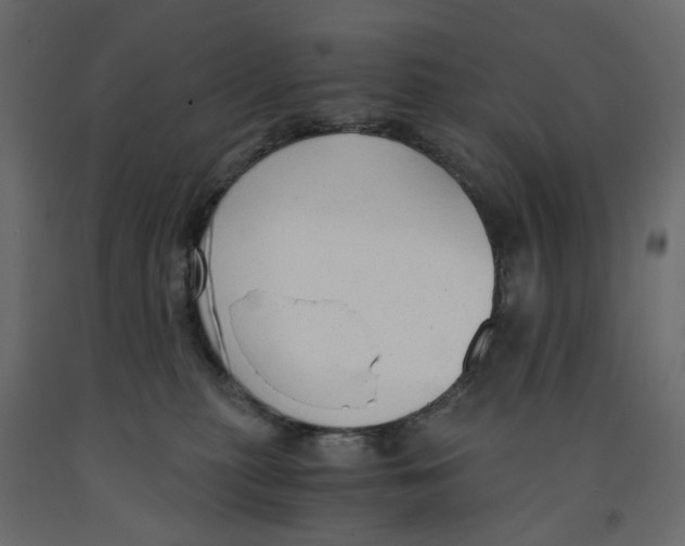 X0000091960279200710041034