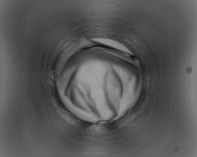 X0000091960280200710041034