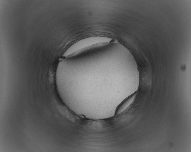X0000091960282200710041035