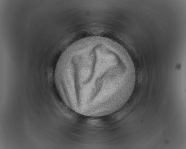X0000091960283200710041035