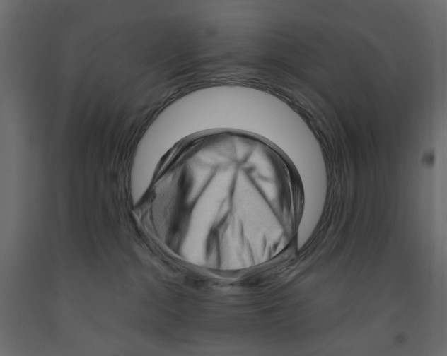 X0000091960284200710041035
