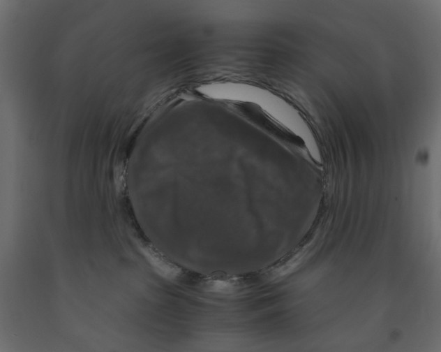 X0000091960285200710041035