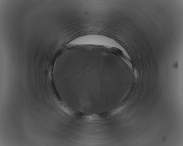 X0000091960286200710041035
