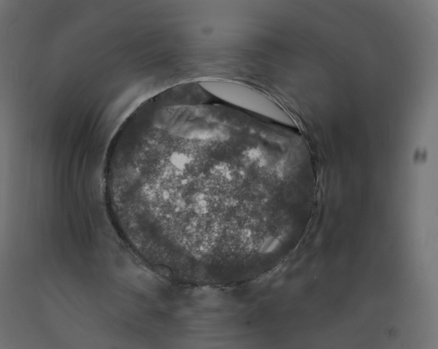 X0000091960290200710041034