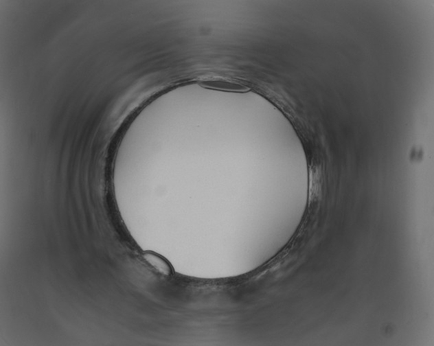 X0000091960291200710041034