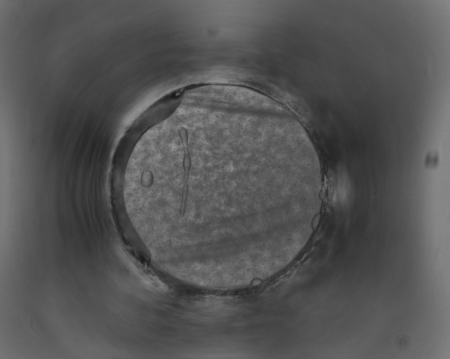 X0000091960292200710041034