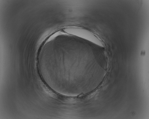 X0000091960293200710041034