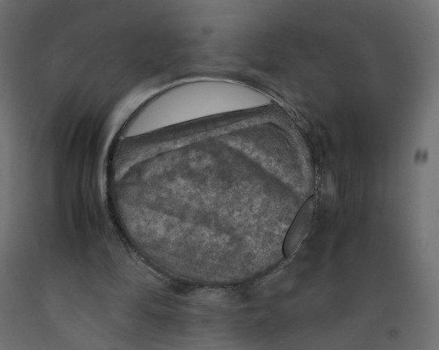 X0000091960294200710041034