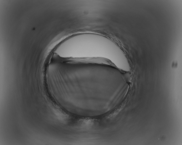 X0000091960295200710041034