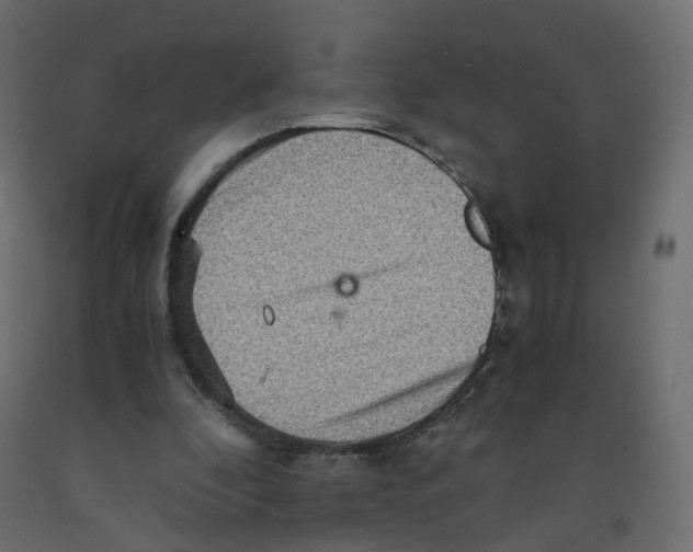 X0000091960296200710041034
