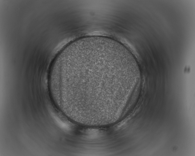 X0000091960298200710041034