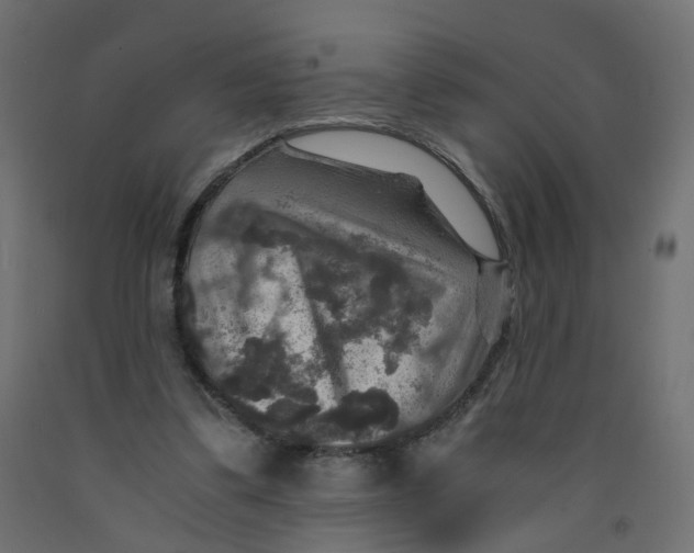 X0000091960299200710041034