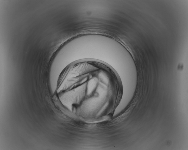 X0000091960301200710041034