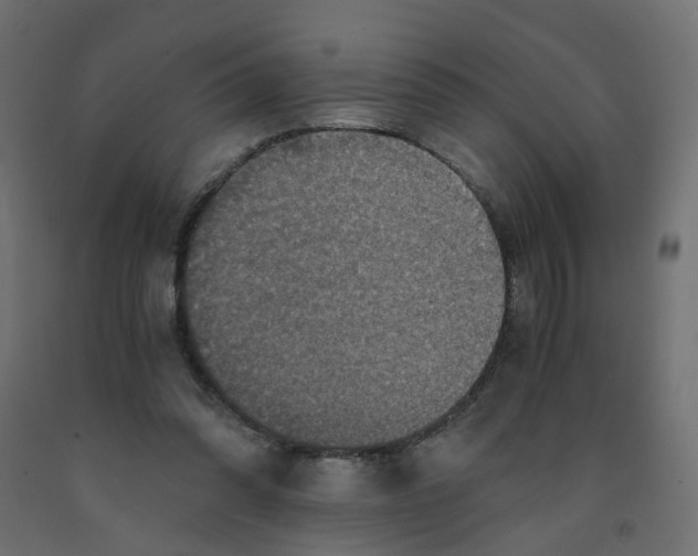X0000091960302200710041034